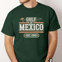 Load image into Gallery viewer, Gulf Of Mexico Est. 1550 Vintage Look Unisex T-Shirt
