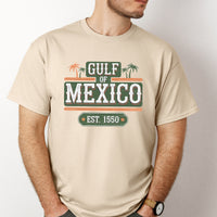 Load image into Gallery viewer, Gulf Of Mexico Est. 1550 Vintage Look Unisex T-Shirt
